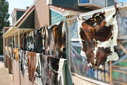 The Process of Tanning Hides For Rugs